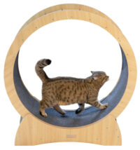 Roue d’exercice pour chat
