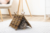 Tipi-Zelt Nature