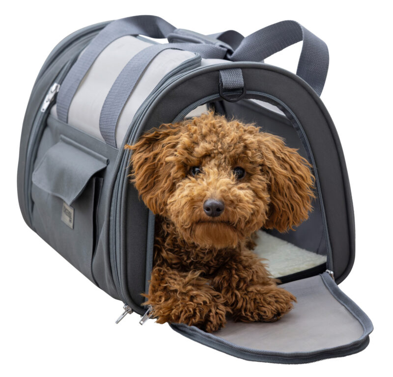 Tragetasche Vacation Air