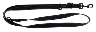 Training Leash Dallas