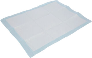 Training Pad
