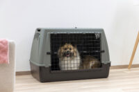 Transportbox Bracco