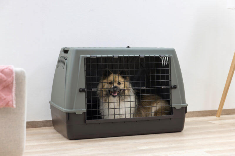 Transportbox Bracco