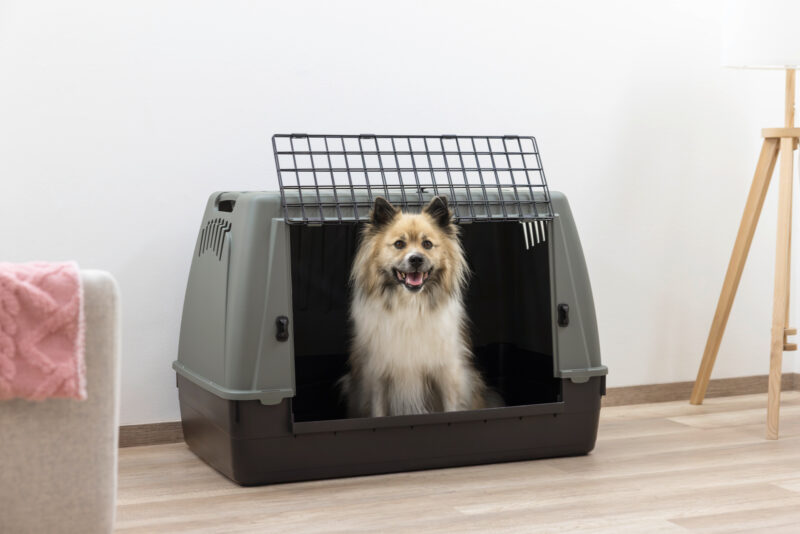 Transportbox Bracco