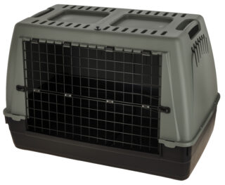 Transportbox Bracco
