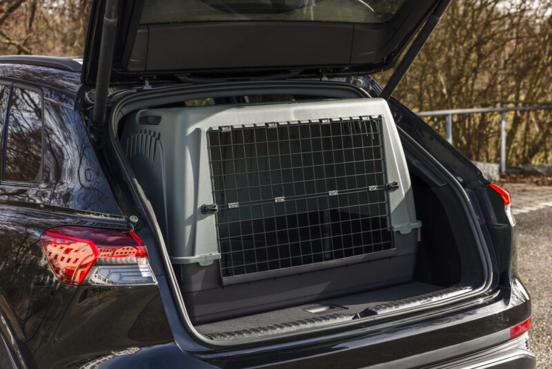 Transportbox Bracco