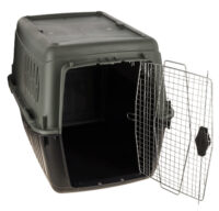 Transportbox ECO
