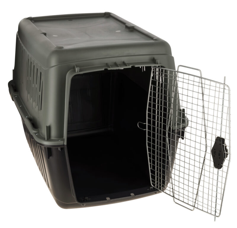 Transportbox ECO