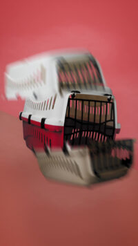 Transportbox Expedion