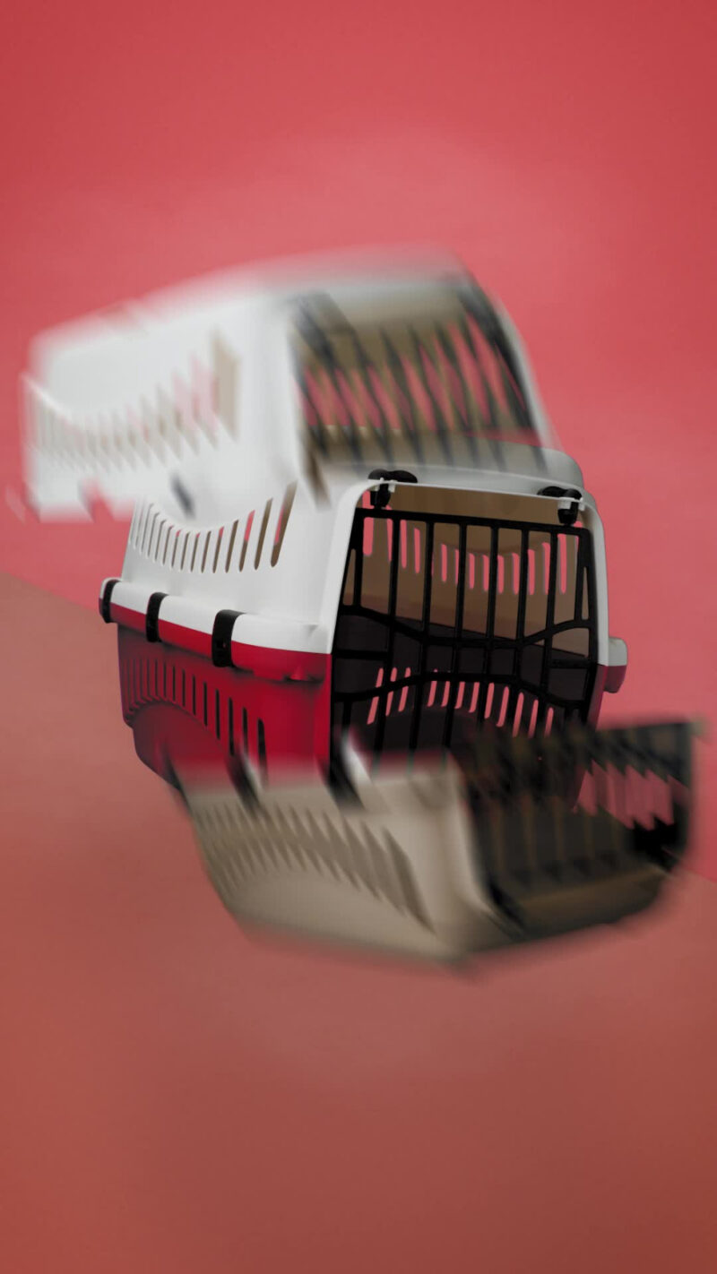 Transportbox Expedion