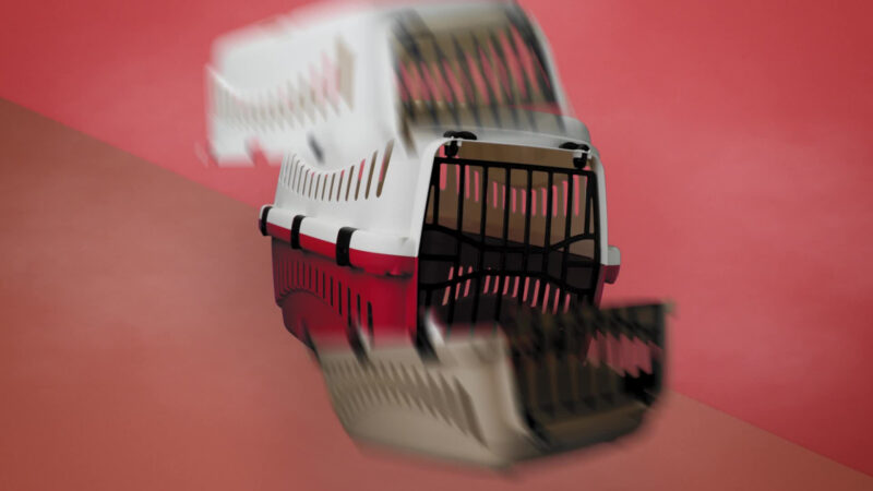 Transportbox Expedion