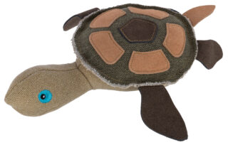 Turtle Tukki
