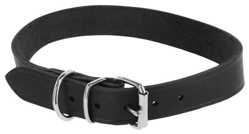 Collier pour chien Tuscany