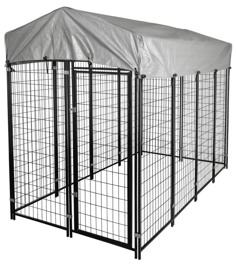 Freilaufgehege Space