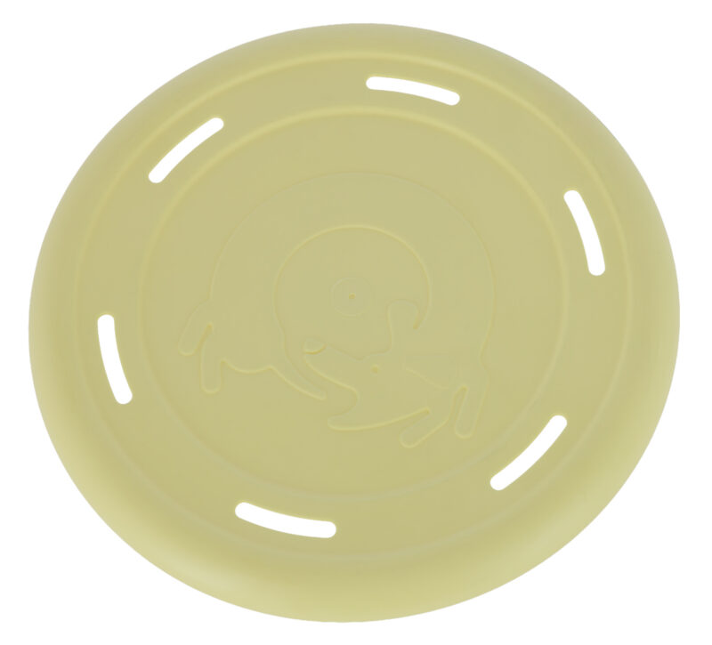 Frisbee