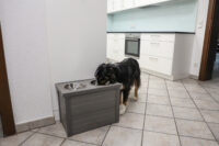 Futter- und Trinkbar