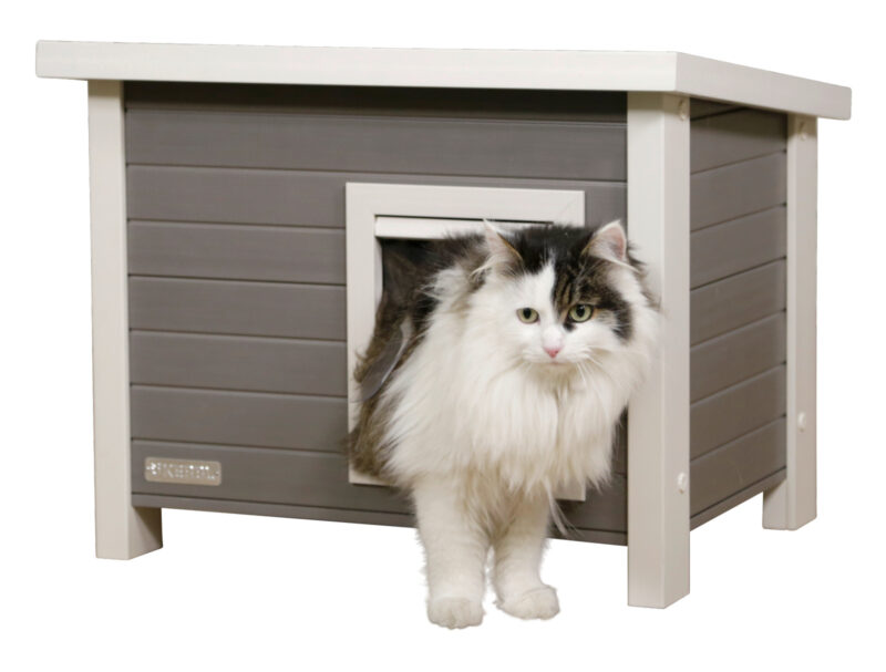 Katzenhaus Eli