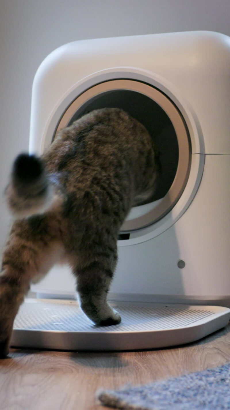 Katzentoilette Smart