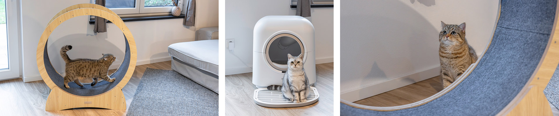 Laufrad und automatische Katzentoilette