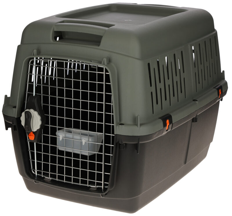 Transport Box