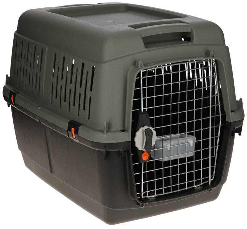 Transportbox