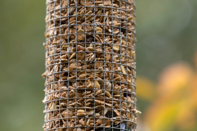 Vogelfutterhaus Basic