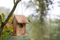 Vogelfutterhaus Gindelalm