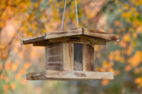 Vogelfutterhaus Großer Arber