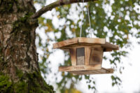 Vogelfutterhaus Kleiner Arber