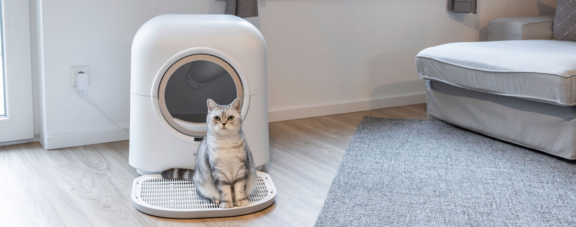 Katze sitzt vor Katzentoilette smart