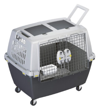 Box de transport Gulliver Touring