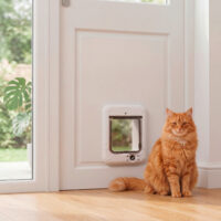 Cat Mate® Microchip-Katzentüre
