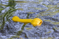 Hundespielzeug Aqua