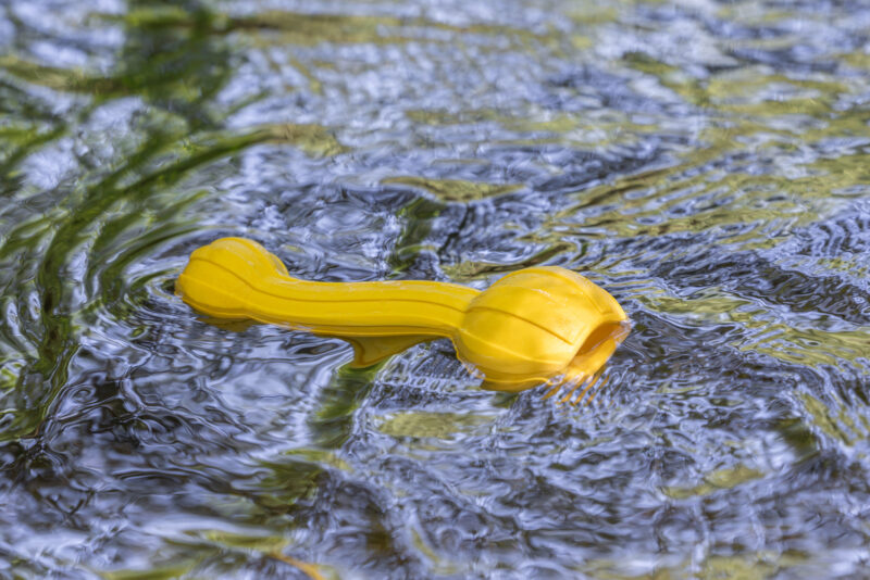 Hundespielzeug Aqua