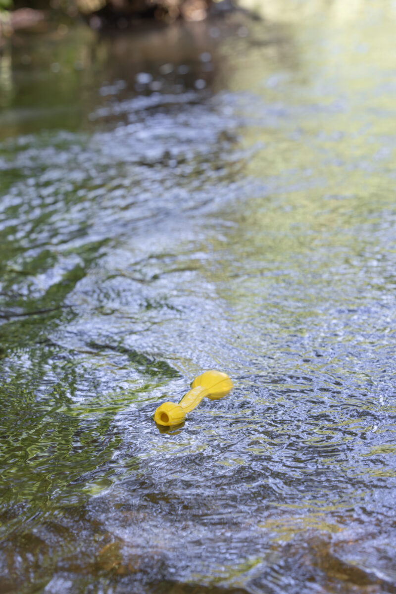 Hundespielzeug Aqua