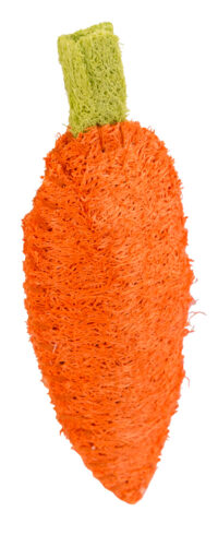 Loofah Carrot