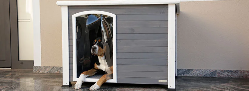 Kerbl Pet - Hundebedarf